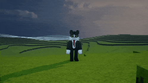 a black and white cat in a suit and tie stands in a grassy field