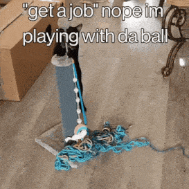 a cat playing with a ball on a scratching post