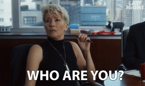 Who Are You Who Is You GIF - Who Are You Who Is You I Dont Know Who You Are GIFs
