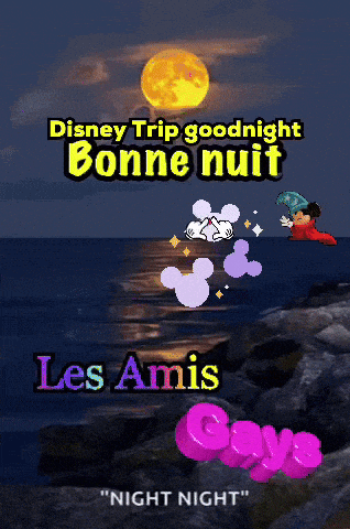 a poster that says disney trip goodnight bonne nuit les amis and night night