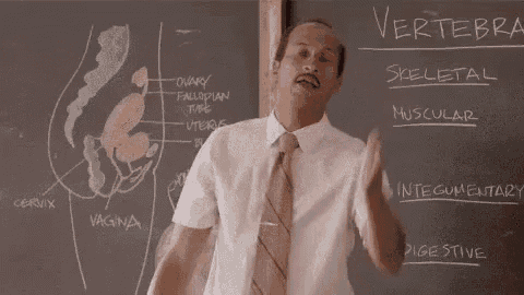 a man in a suit and tie is standing in front of a chalkboard with a diagram of the female reproductive system .