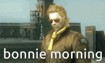 a video game character is wearing sunglasses and a yellow scarf and says bonnie morning
