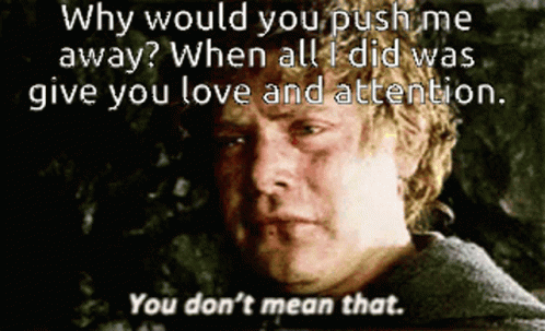 Lord Of The Rings Why GIF - Lord Of The Rings Why Would You GIFs