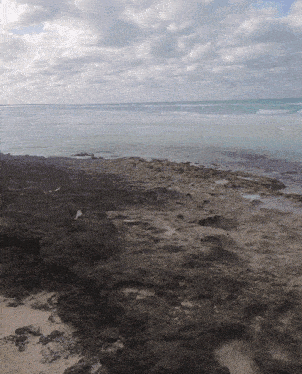 a rocky beach with the ocean in the background and a cloudy sky