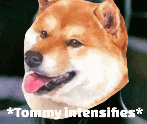 Dogecoin Tommy GIF - Dogecoin Doge Tommy GIFs