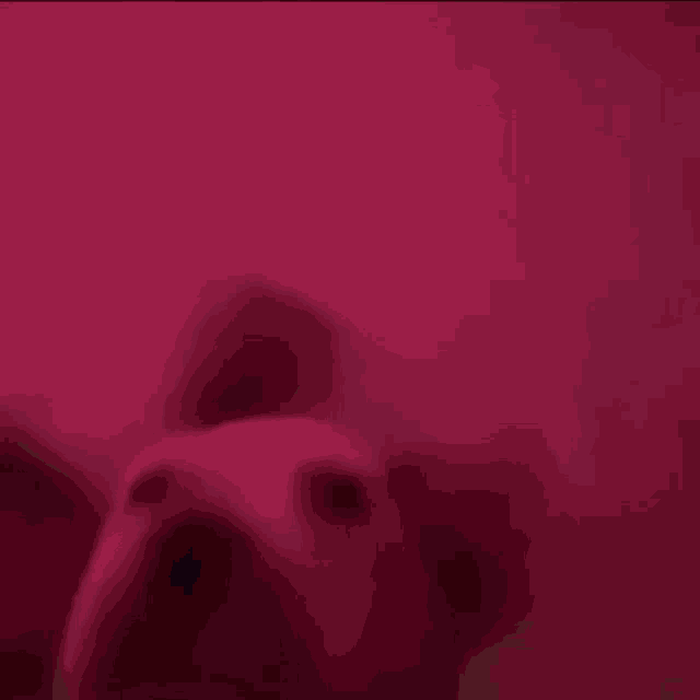 a blurry picture of a person 's face in the water