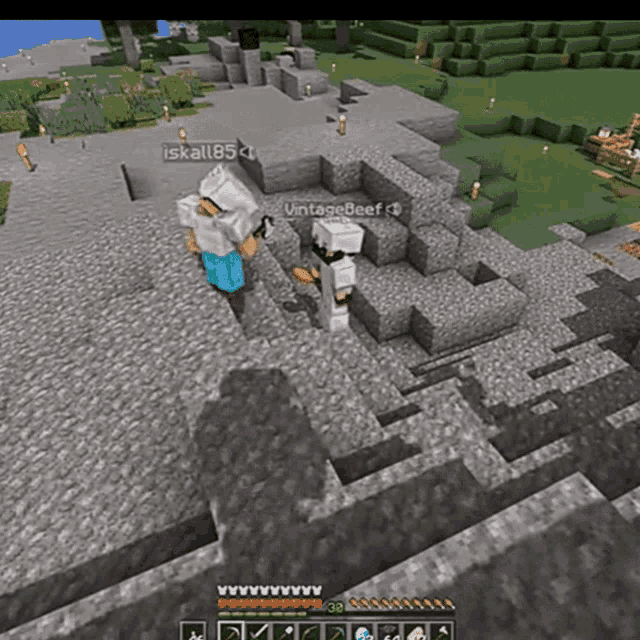 a screenshot of a minecraft game with the name vintagebeef