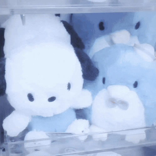 a stuffed animal with glasses and the letter b on it