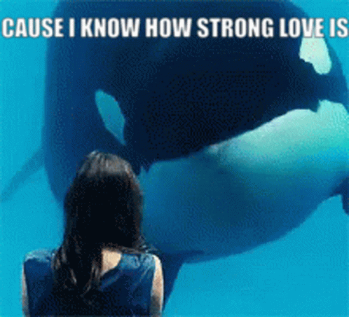 Red Orca Orca Force GIF - Red Orca Orca Force Nmh3 GIFs