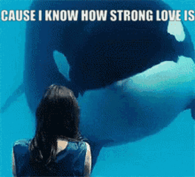 a woman is looking at a killer whale with the words " cause i know how strong love is "