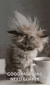 a cat with a mohawk is sitting next to a cup of coffee on a table .