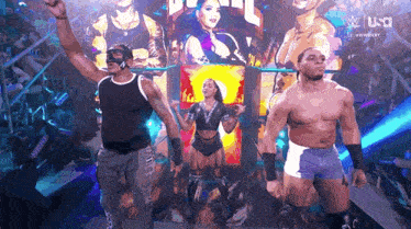 a group of wrestlers are standing in a ring with a sign that says usa