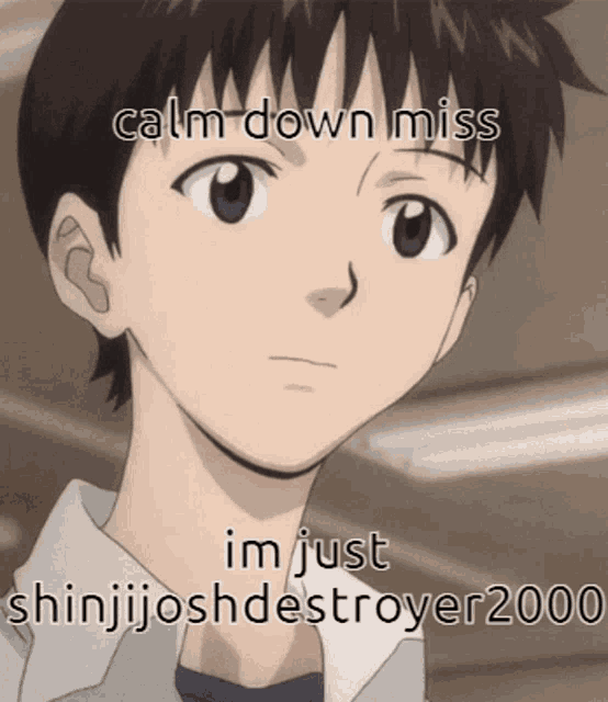 a picture of a boy with the words calm down miss im just shinjijoshdestroyer 2000
