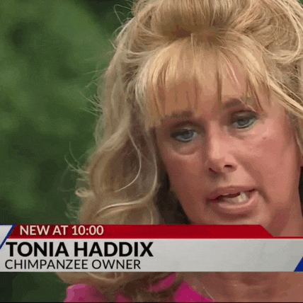a woman named tonia haddix is on a news program