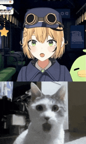 a cat with a surprised look on its face next to a girl with goggles on her head