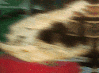 a blurry picture of a mexican flag with a red white and green stripe