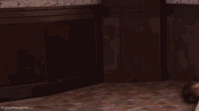 a woman is doing a handstand on the floor in a room with a wooden wall .