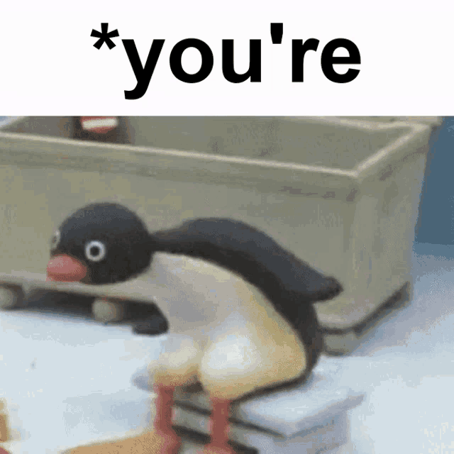 a penguin sitting on a box with the word you 're above it