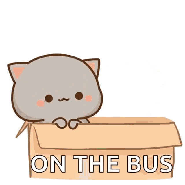two cats are sitting in a cardboard box with the words on the bus written on it