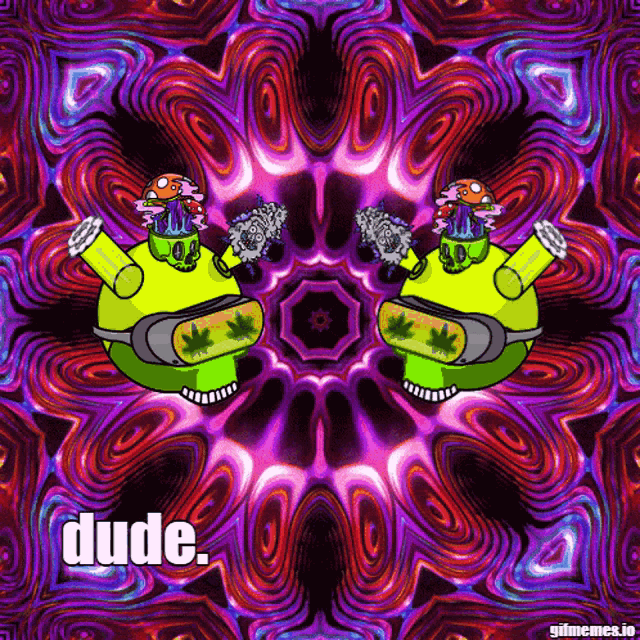 a kaleidoscope with the word dude in the center