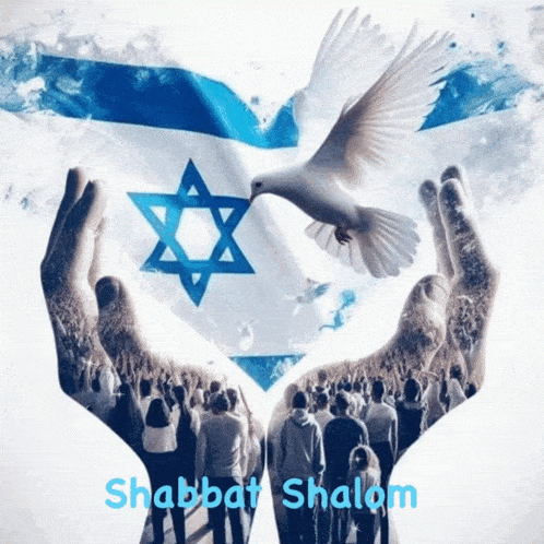 Shabbat Shalom Happy Sabbath GIF - Shabbat Shalom Happy Sabbath Dove GIFs