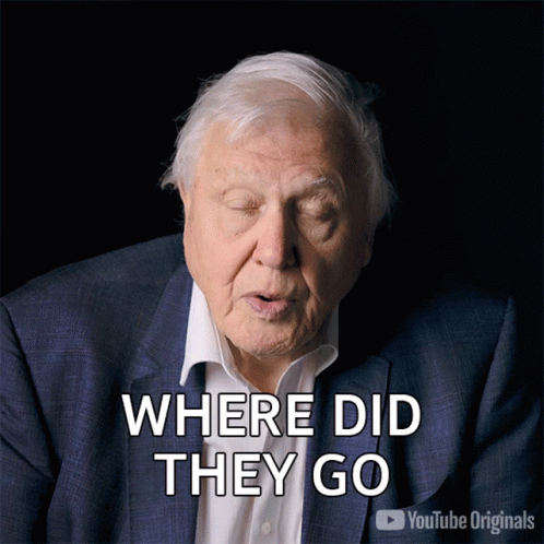 Where Did They Go Sir David Attenborough GIF
