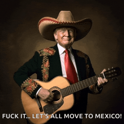 a man in a cowboy hat is holding a guitar with the words " fuck it let 's all move to mexico " below him