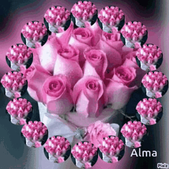 Pink Toses Alma GIF - Pink Toses Alma GIFs