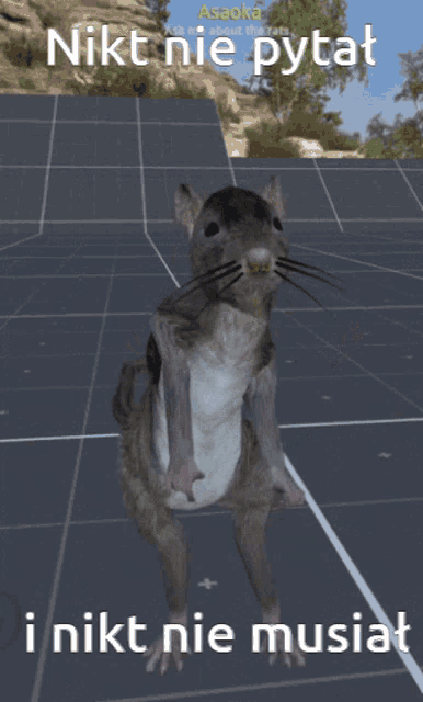 a computer generated image of a chinchilla with the words nikt nie pytat i nikt nie musiat