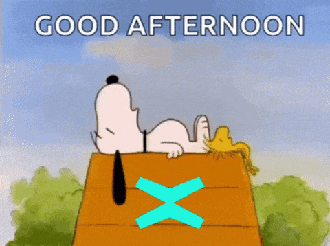 a cartoon of snoopy and woodstock laying on top of a wooden house with the words good afternoon written above them