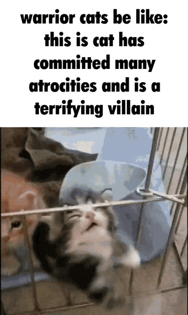 warrior cats be like this is cat has committed many atrocities and is a terrifying villain .