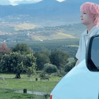 a woman with pink hair is standing next to a car in front of a mountain range .