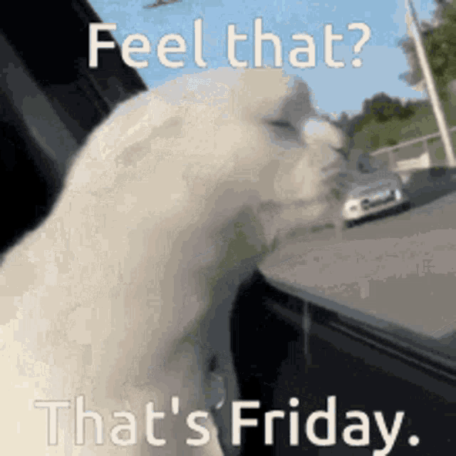 Friday Fridayfeeling GIF - Friday Fridayfeeling Thatsfriday GIFs