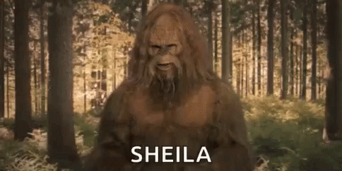 Sheila Shocked GIF - Sheila Shocked Mind Blown GIFs