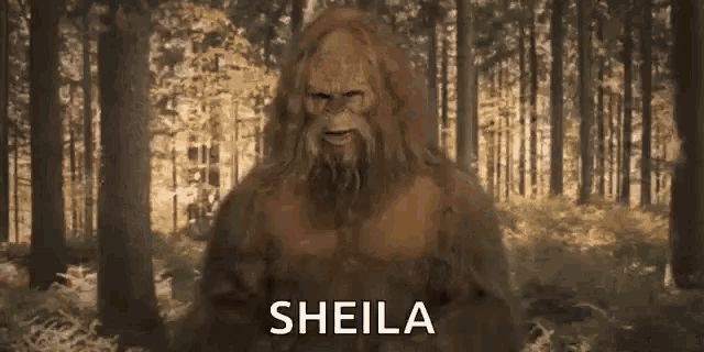 a bigfoot is standing in the middle of a forest with the words sheila written on the bottom .