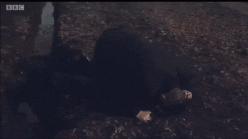 a man is laying on the ground with bbc written on the bottom