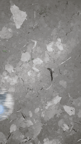 a person is walking on a concrete surface