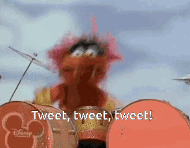 elmo playing drums with the words tweet tweet tweet on the bottom