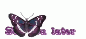 Later Butterfly GIF - Later Butterfly Bye GIFs