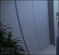 Elevator Fall GIF - Elevator Fall Prank GIFs