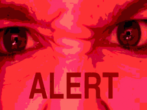 Alert Koalarabioso GIF - Alert Koalarabioso GIFs