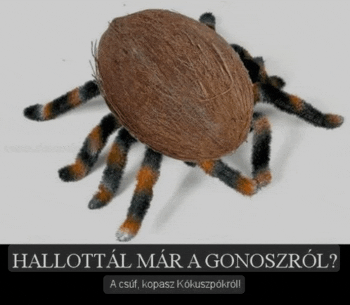 a picture of a spider made out of a coconut with a caption in a foreign language