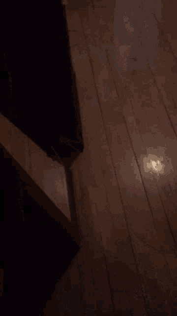 a dog 's tail is visible in the dark on a wooden floor