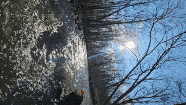 the sun shines brightly through the trees along the river