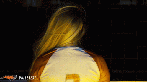 Volleyball Campbell Volleyball GIF - Volleyball Campbell Volleyball Roll Humps GIFs
