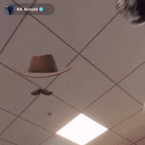 an upside down picture of a man with a hat and a mustache with the name kk arnold