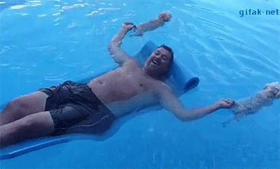 Puppies Pool GIF - Puppies Pool Floating GIFs