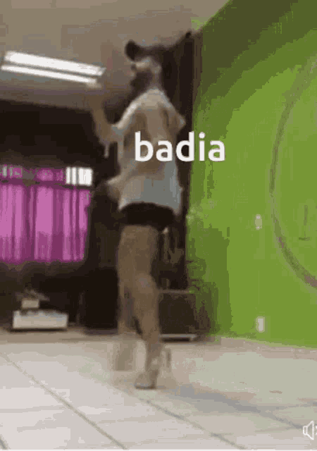 Badia Discord GIF - Badia Discord Cash GIFs