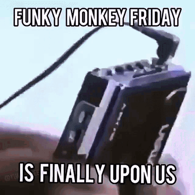 Monke Monkey GIF - Monke Monkey Friday GIFs