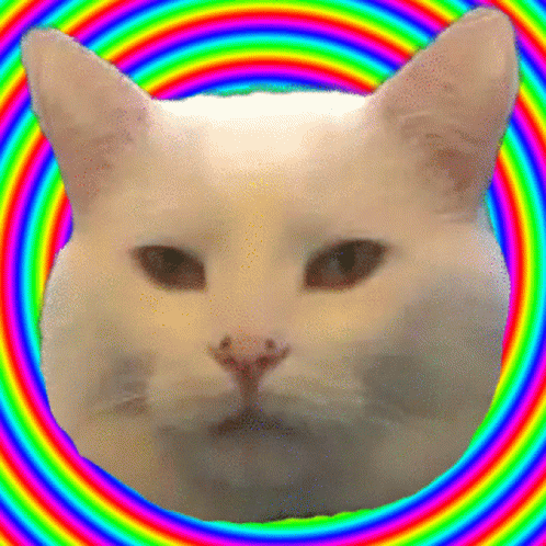 Smudge Optics Cat GIF - Smudge Optics Cat Hypnotize GIFs